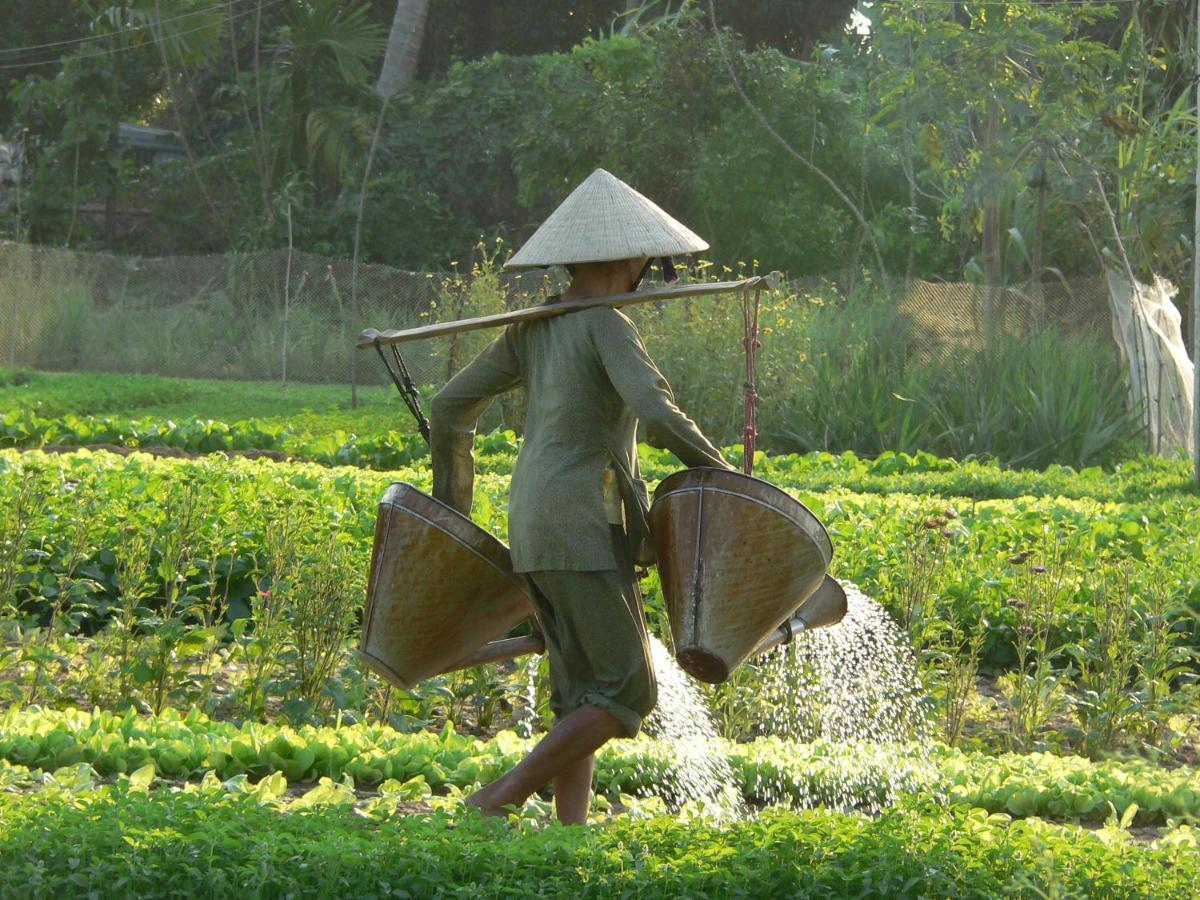 Sunny Riverside Homestay Hoi An Luaran gambar
